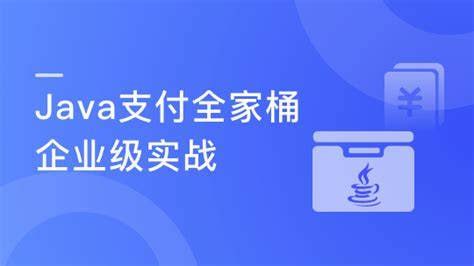 资源《慕课实战 - Java企业级支付全家桶设计与实战》的海报