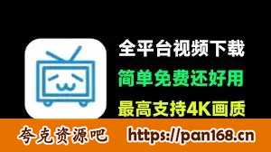 资源《闪豆视频下载器 v4.0.0.0 安装版》的海报