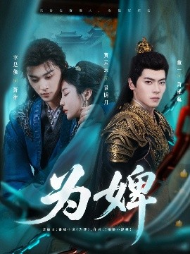 资源《为婢》的海报