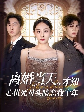 资源《离婚当天，才知心机死对头暗恋我十年》的海报