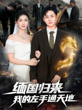 资源《缅国归来我的左手通天地》的海报