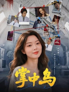 资源《掌中鸟》的海报