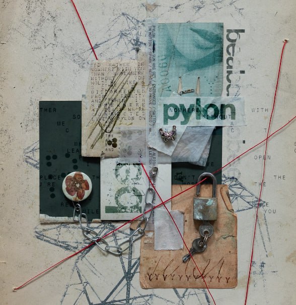 资源《beabadoobee - Pylon (2026) FLAC》的海报