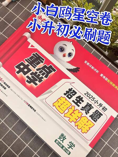 资源《2026版《小白鸥小升初星空卷》，小升初备考优质教辅》的海报