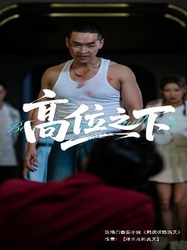 资源《高位之下》的海报
