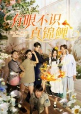 资源《有眼不识真锦鲤》的海报