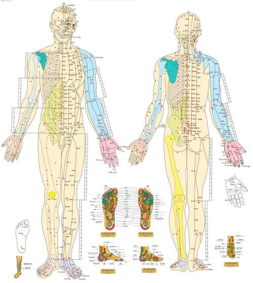 资源《最全高清人体穴位图及穴位图解大全》的海报