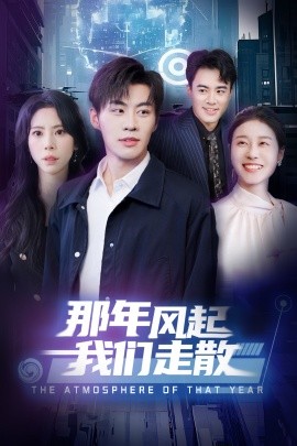 资源《那年风起我们走散》的海报