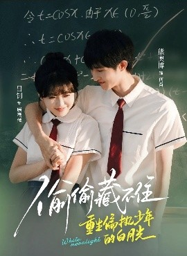 资源《偷偷藏不住重生偏执少年的白月光》的海报