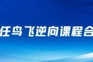 资源《2025任鸟飞逆向课程》的海报