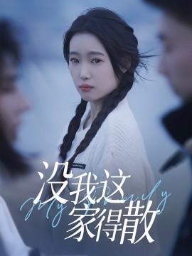 资源《没我这家得散》的海报