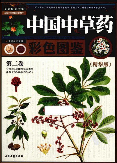 资源《《中国中草药彩色图鉴》第2卷 精华版 精美中药彩图 常用中草药[pdf]》的海报