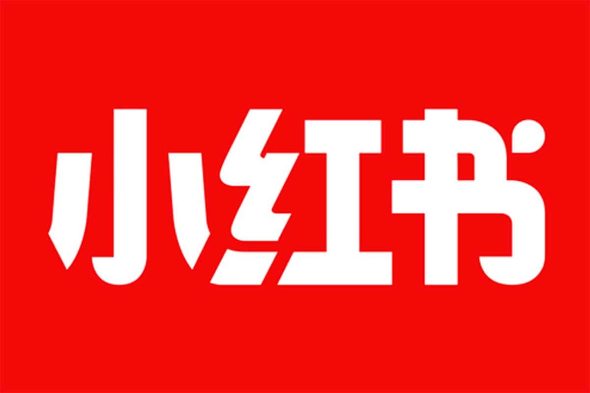 资源《苏阿九第六期21天小红书训练营》的海报