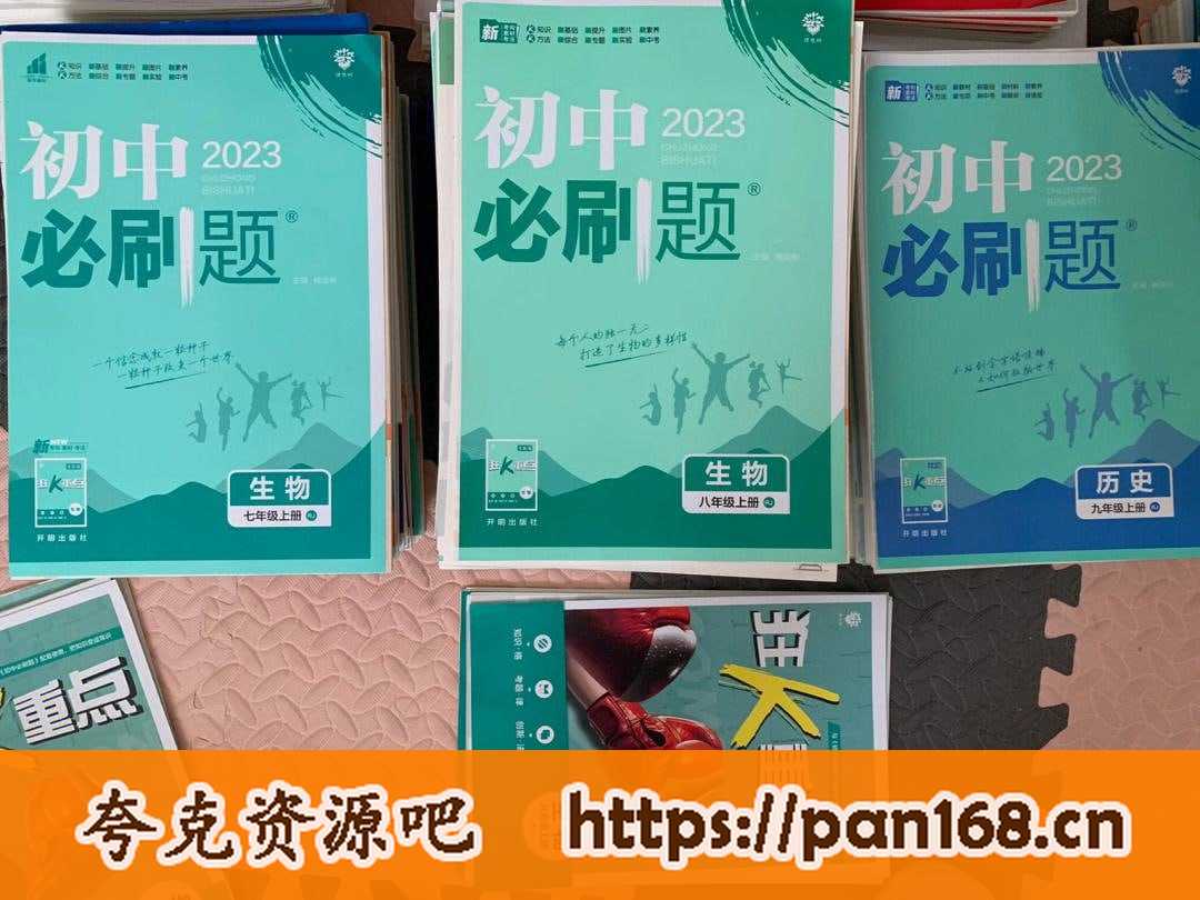 资源《2022-2024版【初中必刷题】》的海报
