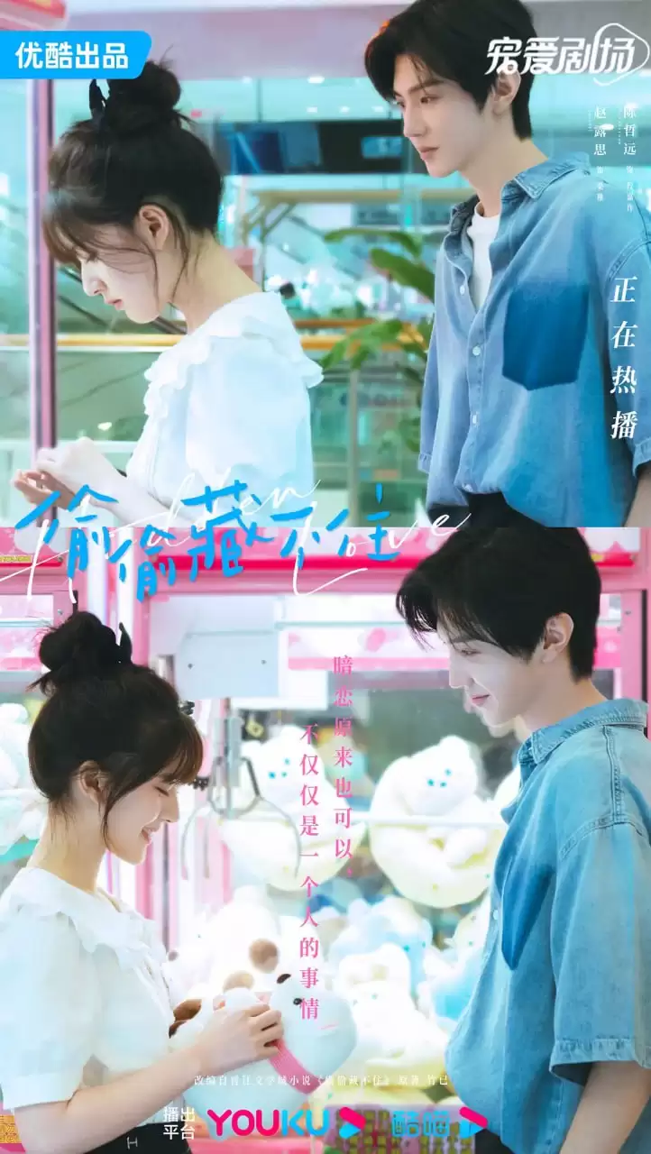 资源《偷藏不住-广播剧+小说+全集+小说》的海报