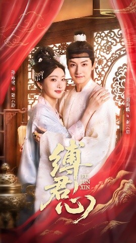 资源《缚君心》的海报