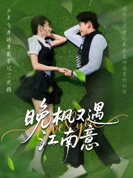 资源《晚枫又遇江南意》的海报