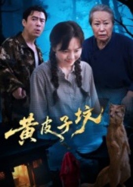 资源《黄皮子坟》的海报
