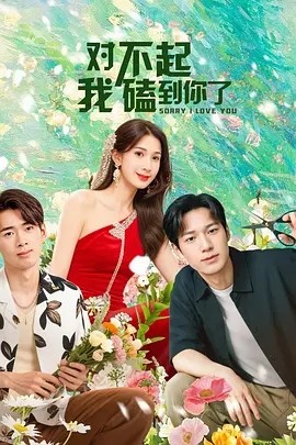 资源《对不起，我磕到你了》的海报