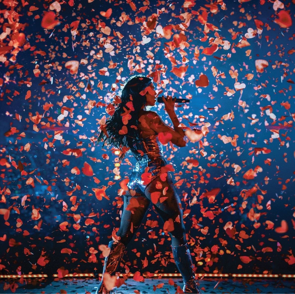 资源《Dua Lipa - Dua Lipa - Live From Mexico (2026) FLAC 24bit 48khz qobuz》的海报