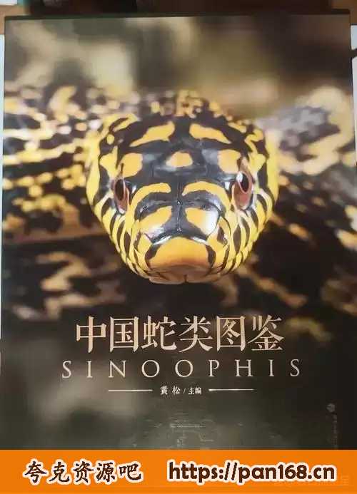 资源《《中国蛇类图鉴》上下册 中国野生蛇类245种 pdf格式》的海报