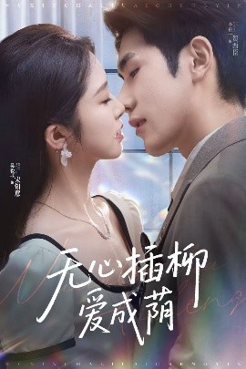 资源《无心插柳爱成荫》的海报