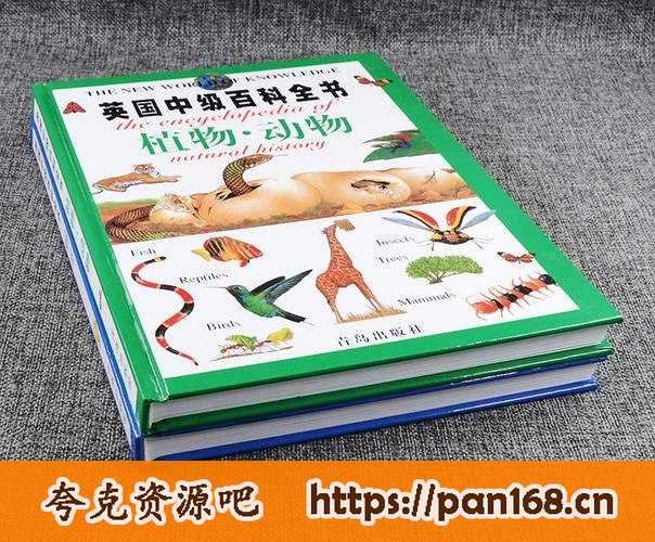 资源《英国中级百科全书》的海报