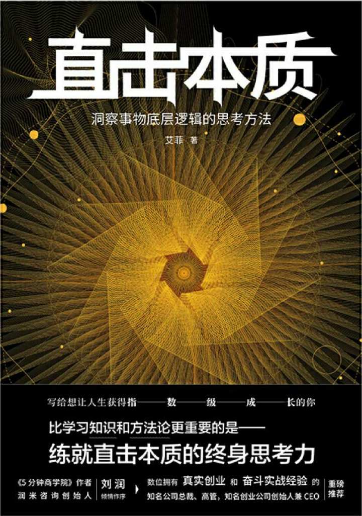 资源《直击本质  [pdf+全格式]》的海报