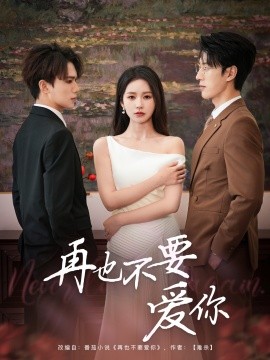 资源《再也不要爱你》的海报