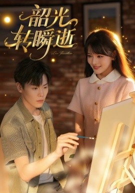 资源《韶光转瞬逝》的海报
