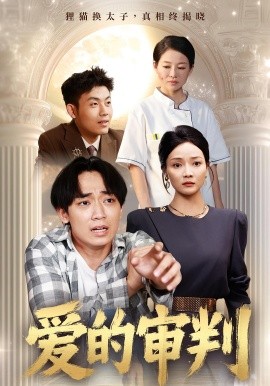 资源《爱的审判》的海报