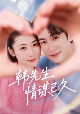 资源《韩先生情谋已久》的海报