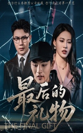 资源《最后的礼物》的海报