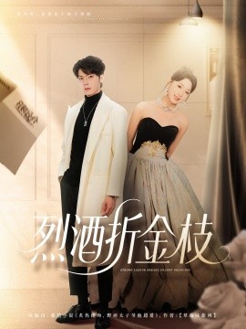 资源《烈酒折金枝》的海报