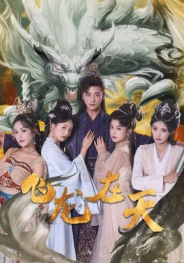 资源《飞龙在天》的海报