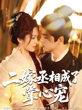 资源《二嫁丞相成了掌心宠》的海报