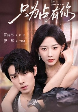 资源《只为占有你》的海报