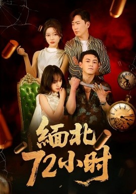资源《缅北72小时》的海报