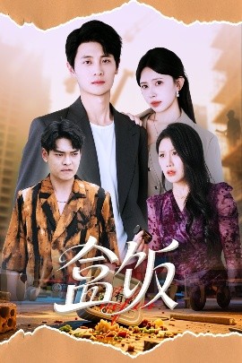 资源《盒饭》的海报