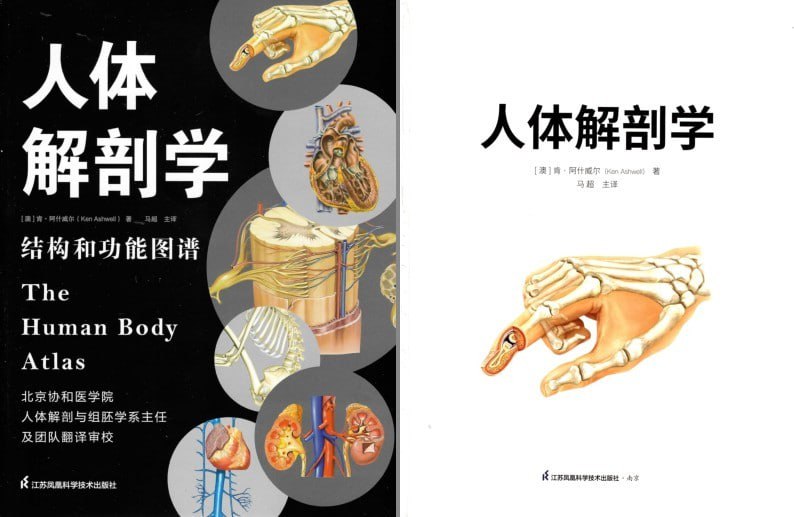 资源《《人体解剖学》结构和功能图谱 科普[pdf]》的海报