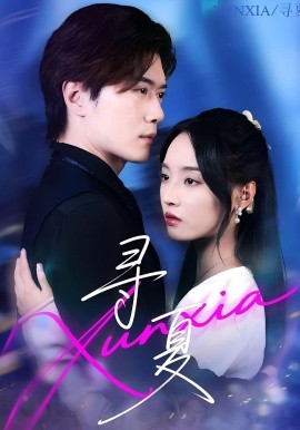 资源《寻夏》的海报
