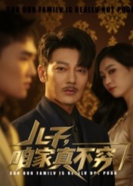 资源《儿子，咱家真不穷》的海报