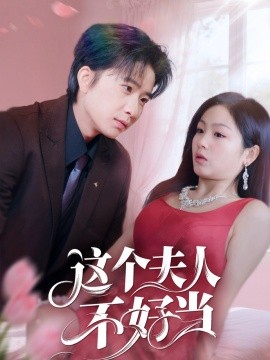 资源《这个夫人不好当》的海报