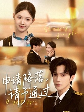资源《申请降落，请予通过》的海报