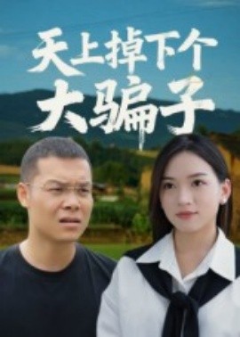 资源《天上掉下个大骗子》的海报