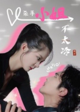 资源《杀手小姐不太冷》的海报