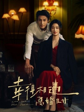 资源《幸得相遇离婚时》的海报