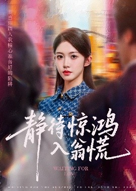 资源《静待惊鸿入翁慌》的海报