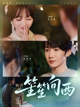 资源《笙笙向西》的海报
