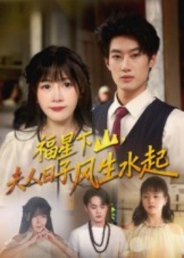 资源《福星下山夫人日子风生水起》的海报